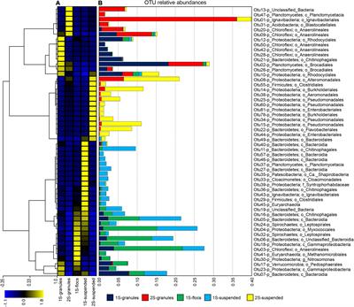 Metagenomic Insights Into Competition Between Denitrification and Dissimilatory Nitrate Reduction to Ammonia Within One-Stage and Two-Stage Partial-Nitritation Anammox Bioreactor Configurations